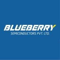 blueberry semiconductors logo image