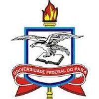 universidade federal do pará logo image