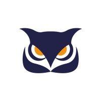 owl consultancy group logo image