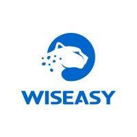 wiseasy logo image