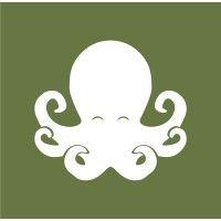 oktopus multiservice ltd. logo image