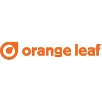 orange leaf frozen yogurt