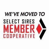 select sires member cooperative logo image