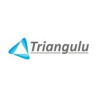 triangulu logo image