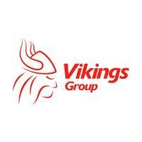 vikings group logo image