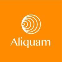 aliquam investments