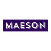 the maeson group logo image