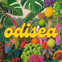 odisea logo image