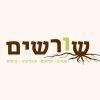 shorashim in israel🌳🌍🇮🇱❤️ logo image