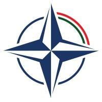 comitato atlantico italiano