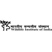 wildlife institute of india logo image