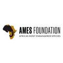 logo of Ames Foundation