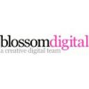 logo of Blossomdigital Limited