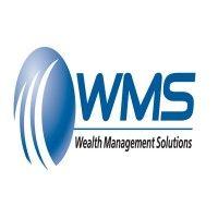 wealth management solutions, llc logo image