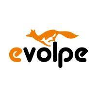 evolpe consulting group logo image