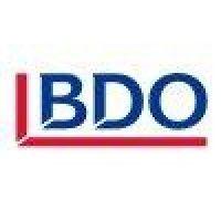 bdo méxico logo image