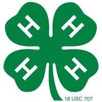 massachusetts 4-h foundation logo image