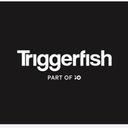 logo of Triggerfish Part Of Io