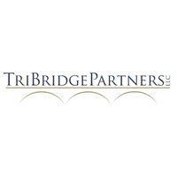 tribridge partners