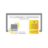 pôle alternance & apprentissage du groupe igs lyon (ciefa/cfa) logo image