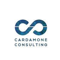 the cardamone consulting group