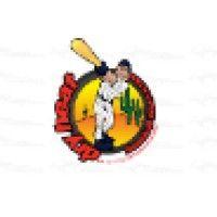 dry heat baseball foundation non profit logo image