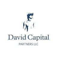 david capital partners, llc logo image