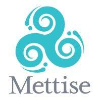 the mettise group logo image