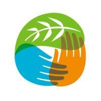 pachamama alliance logo image