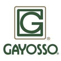 grupo gayosso