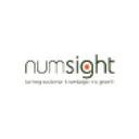 logo of Numsight Data Marketing Consulting