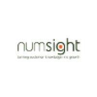 numsight, data marketing consulting logo image