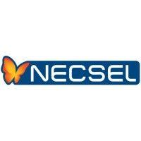 necsel ip, inc. logo image