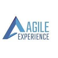 agile experience logo image