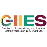 ciies.dit logo image