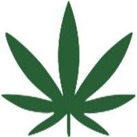 green mountain buds logo image