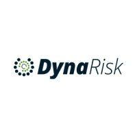 dynarisk logo image