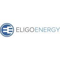 eligo energy, llc