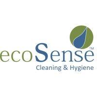 ecosense cleaning logo image