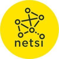 network science institute logo image