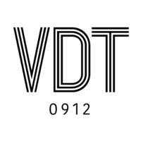 importadora vdt logo image