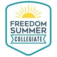 freedom summer collegiate logo image