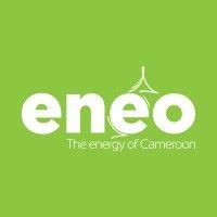 eneo cameroon s.a. logo image