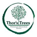 logo of Thors Trees