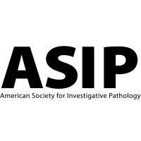 american society for investigative pathology (asip)