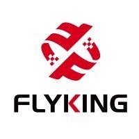 flyking technology logo image