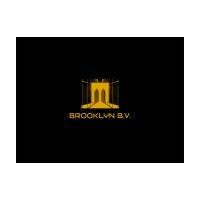 brooklyn b.v. logo image