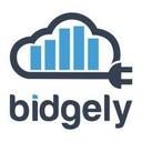 logo of Bidgely