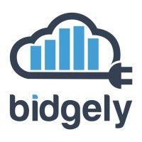 bidgely logo image