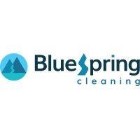 bluespring cleaning logo image